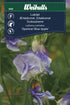 Luktärt Blue ripple