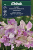Luktärt Lilac ripple