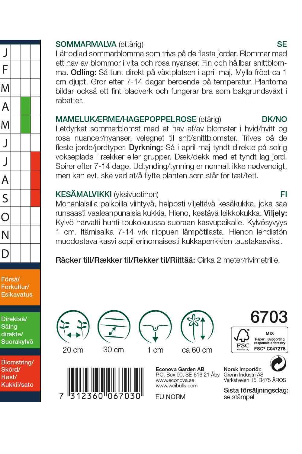 Malva blandning sommar