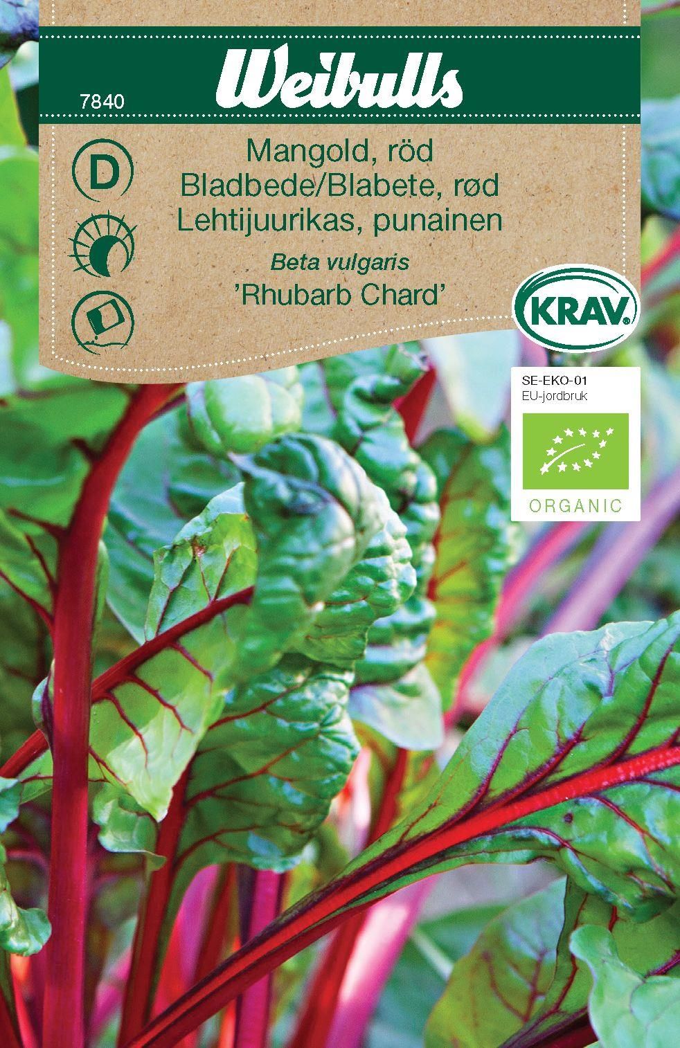 Mangold, röd KRAV