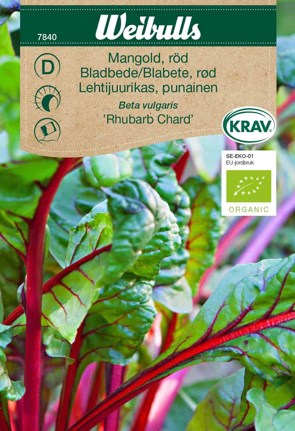 Mangold, röd KRAV
