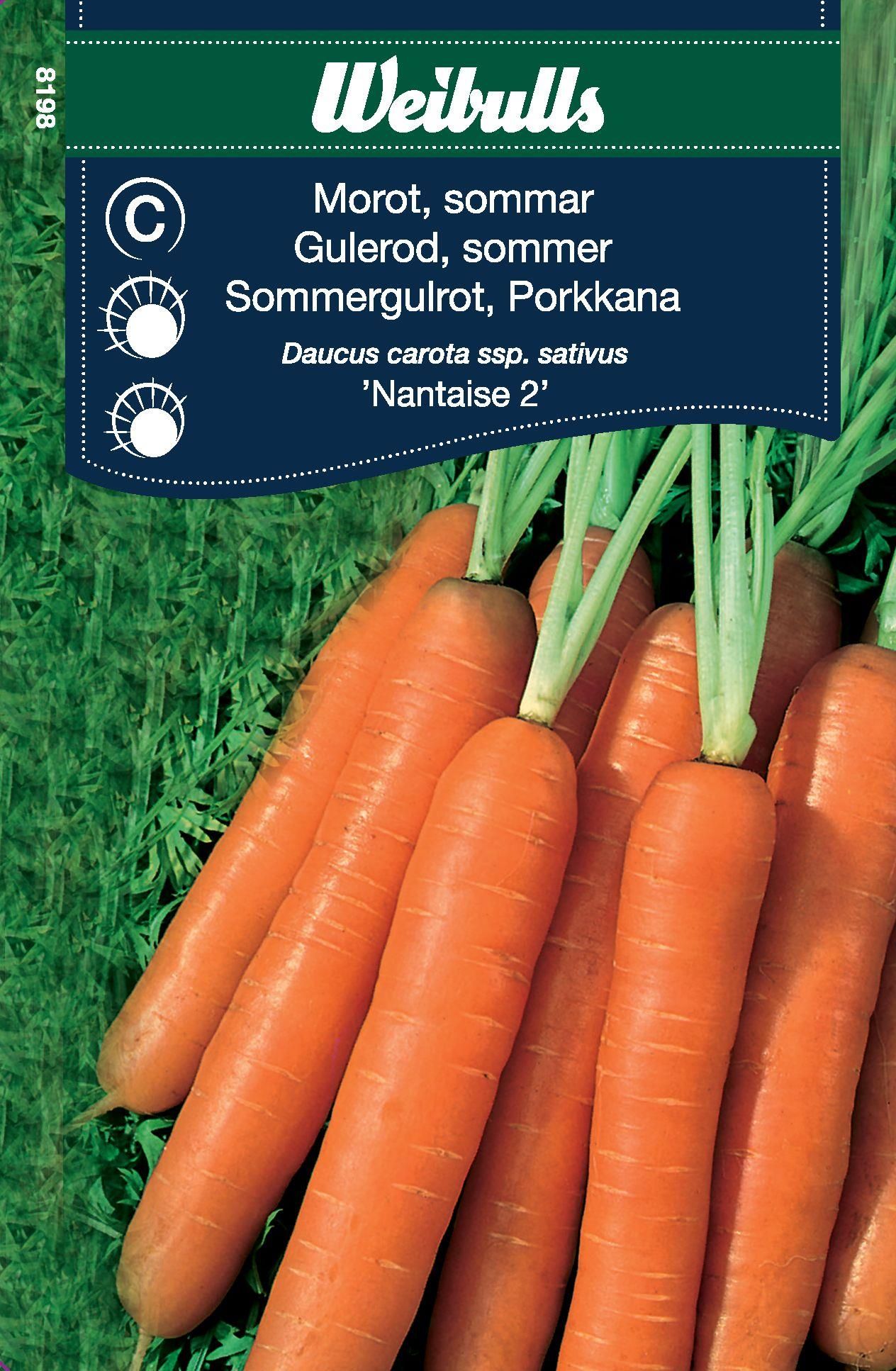 Morot sommar