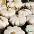 Musselsquash