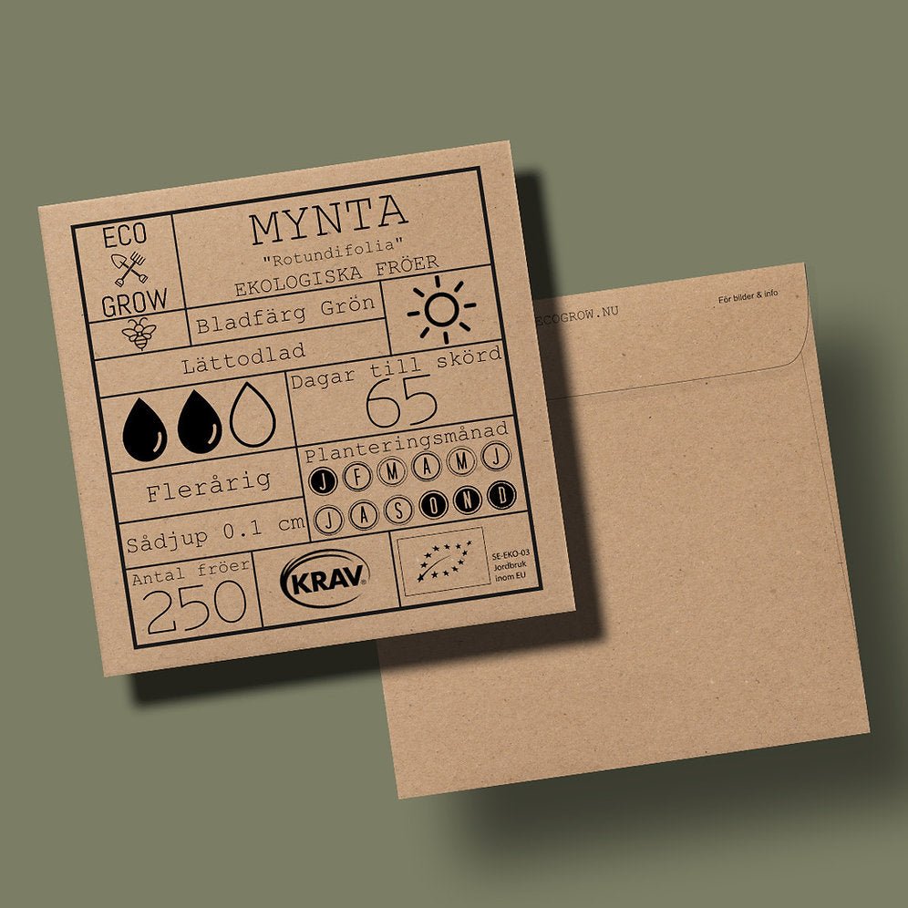 Mynta
