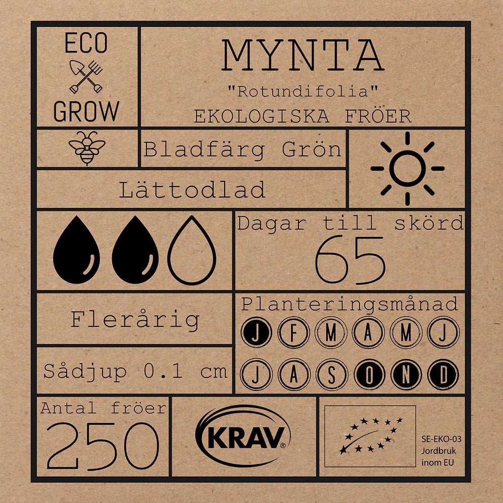 Mynta