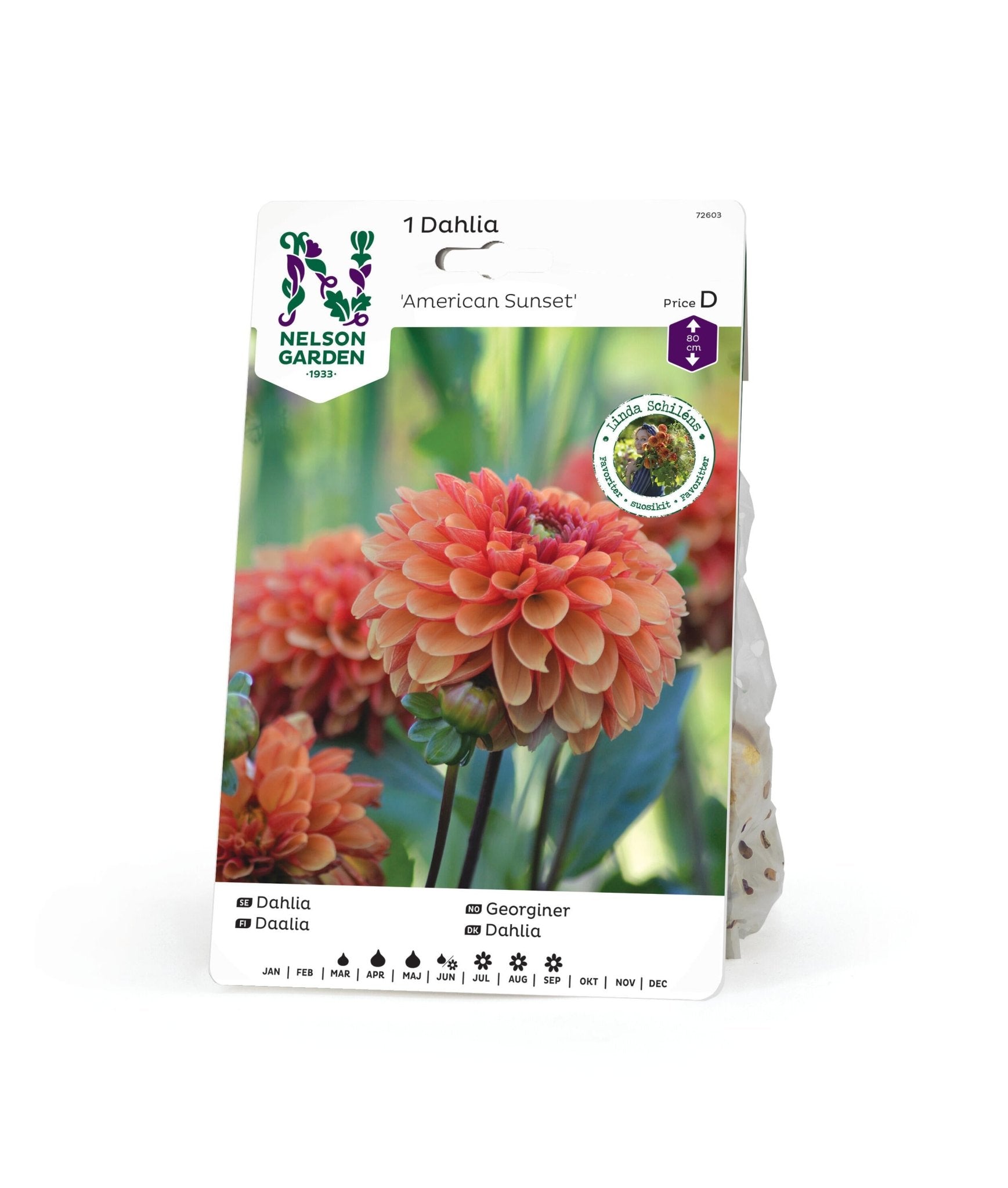 Näckrosdahlia