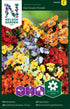 Nemesia