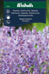 Nepeta, Kant Nepeta Faassenii