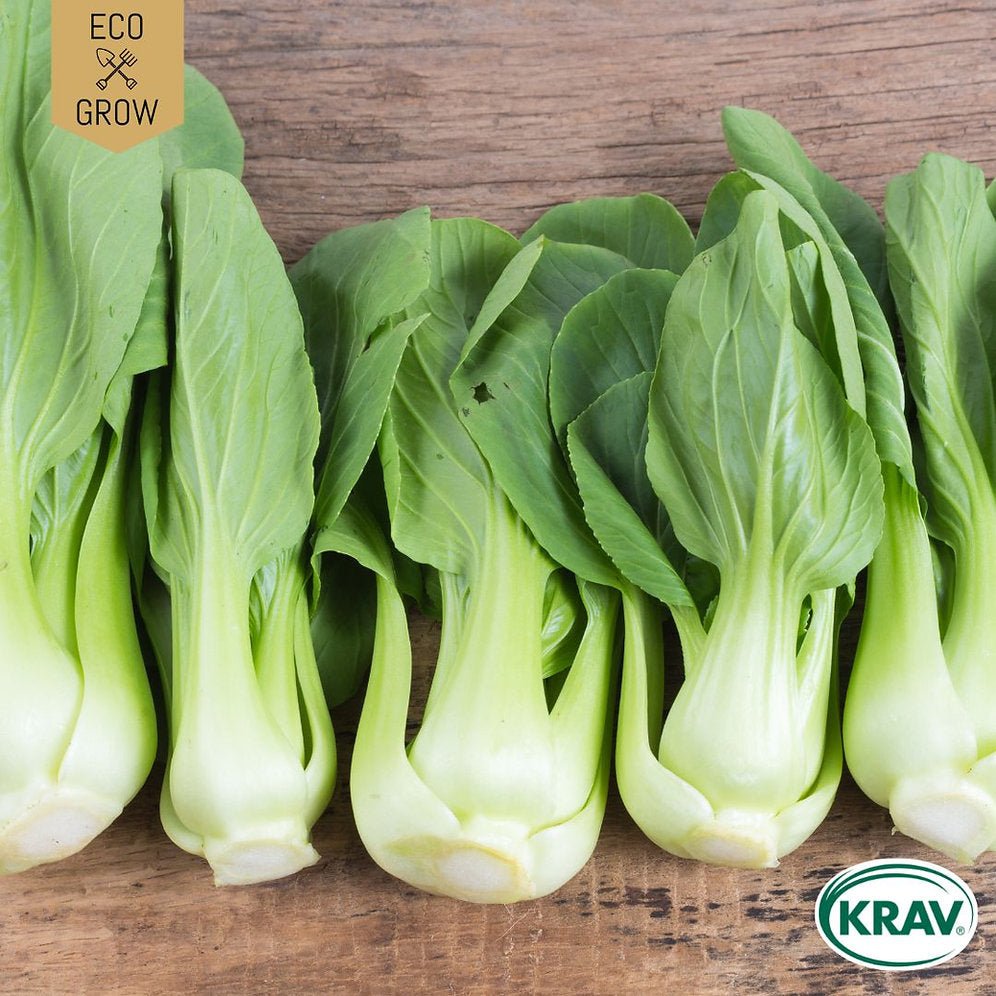 Pak choi