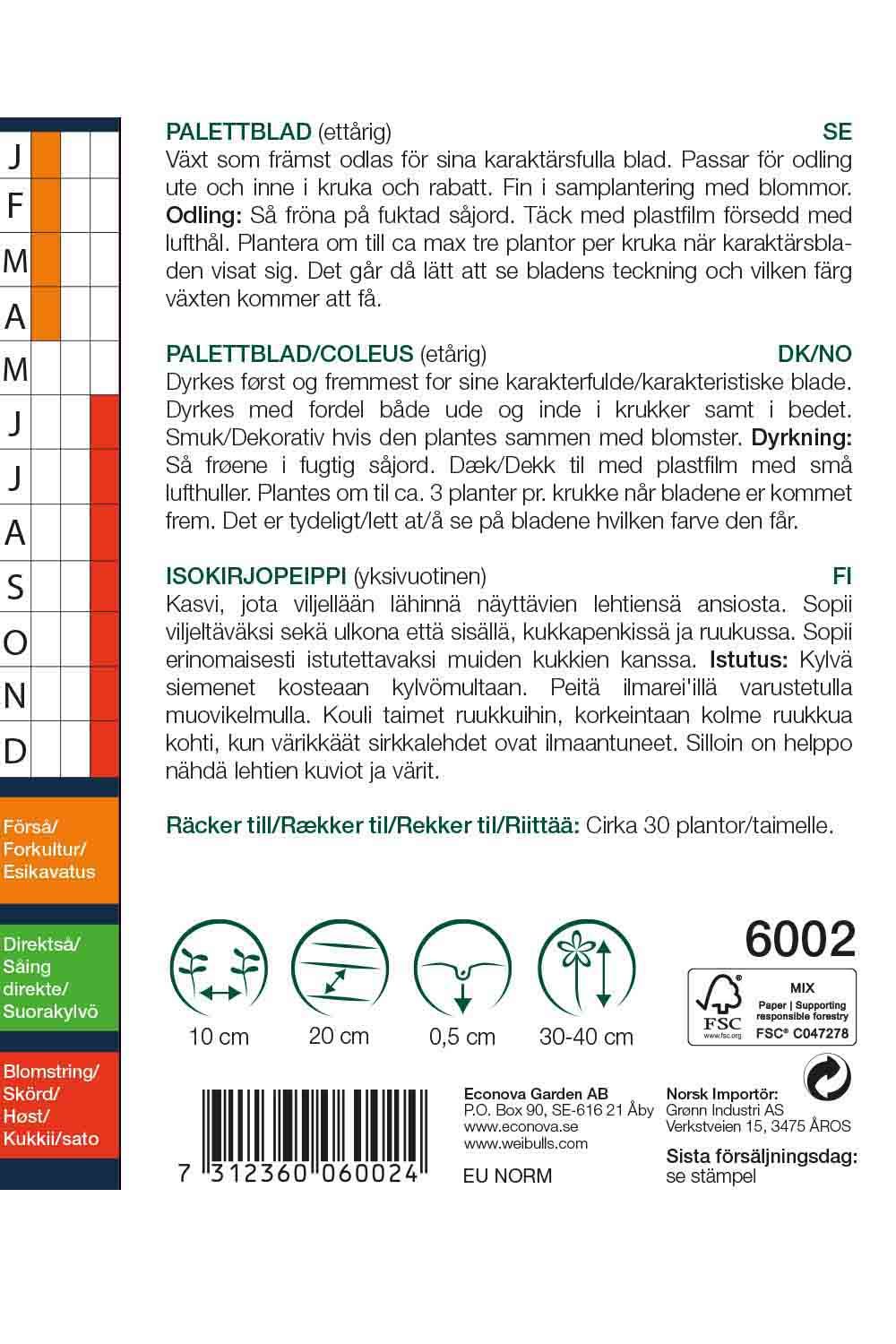 Palettblad Solenostemon