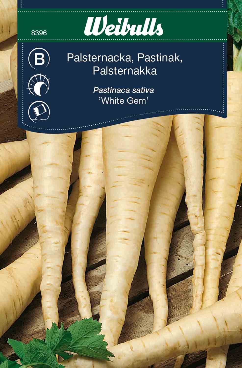 Palsternacka