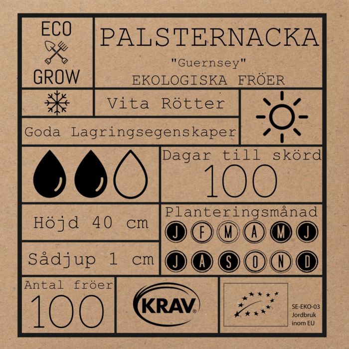 Palsternacka