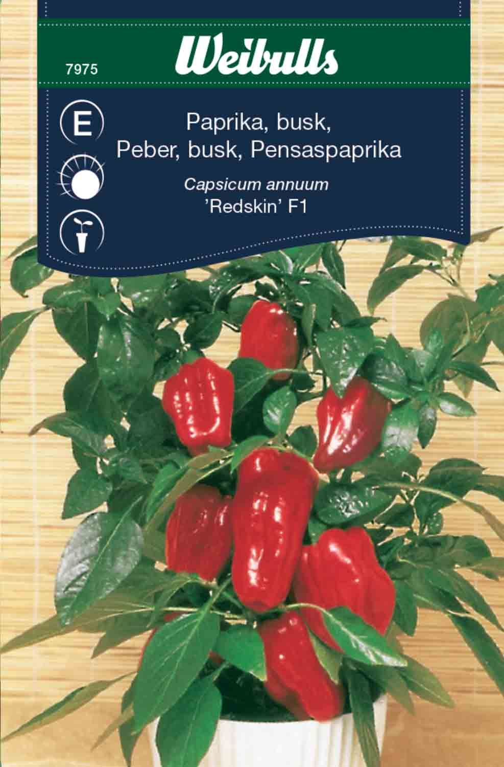 Paprika busk
