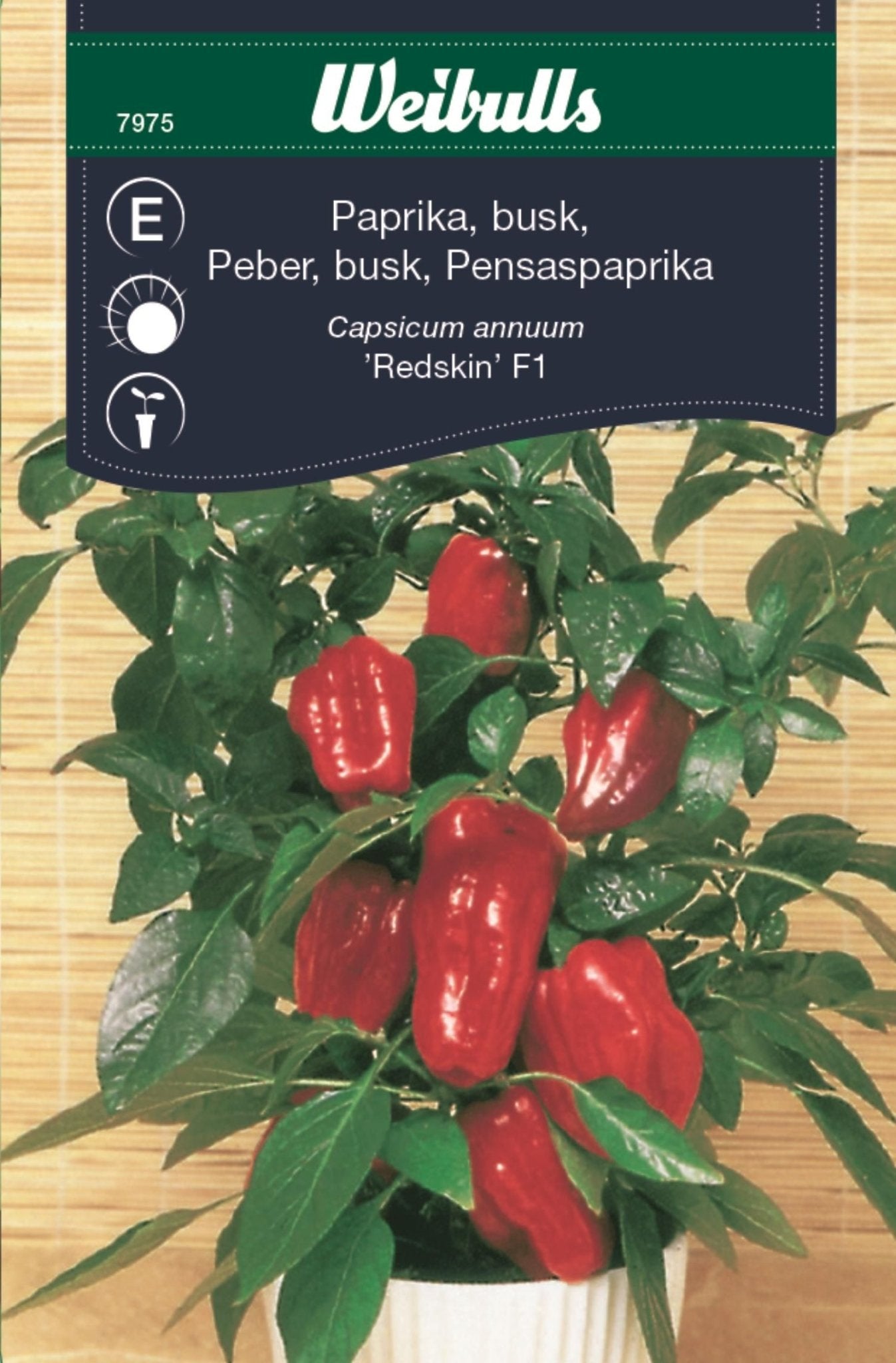 Paprika busk