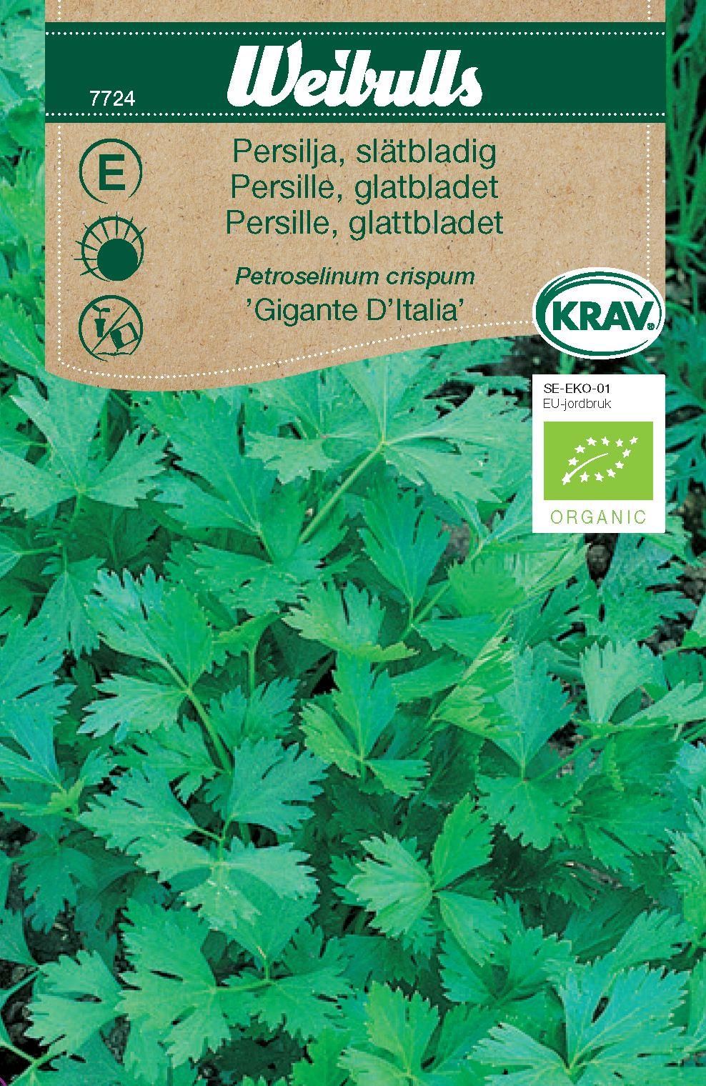 Persilja slät KRAV Gigante D ítalia
