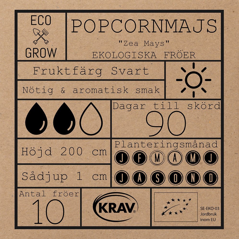 Popcornmajs