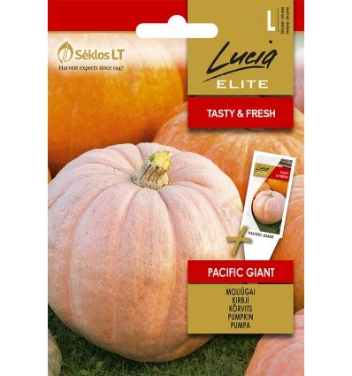 Pumpa