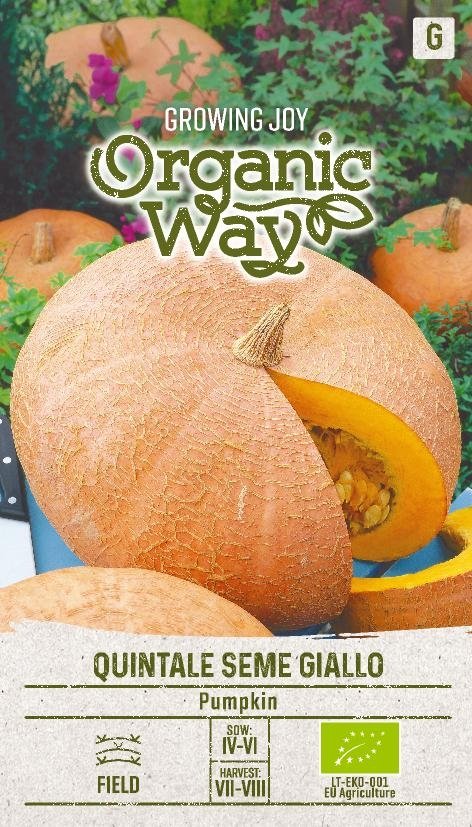 Pumpa