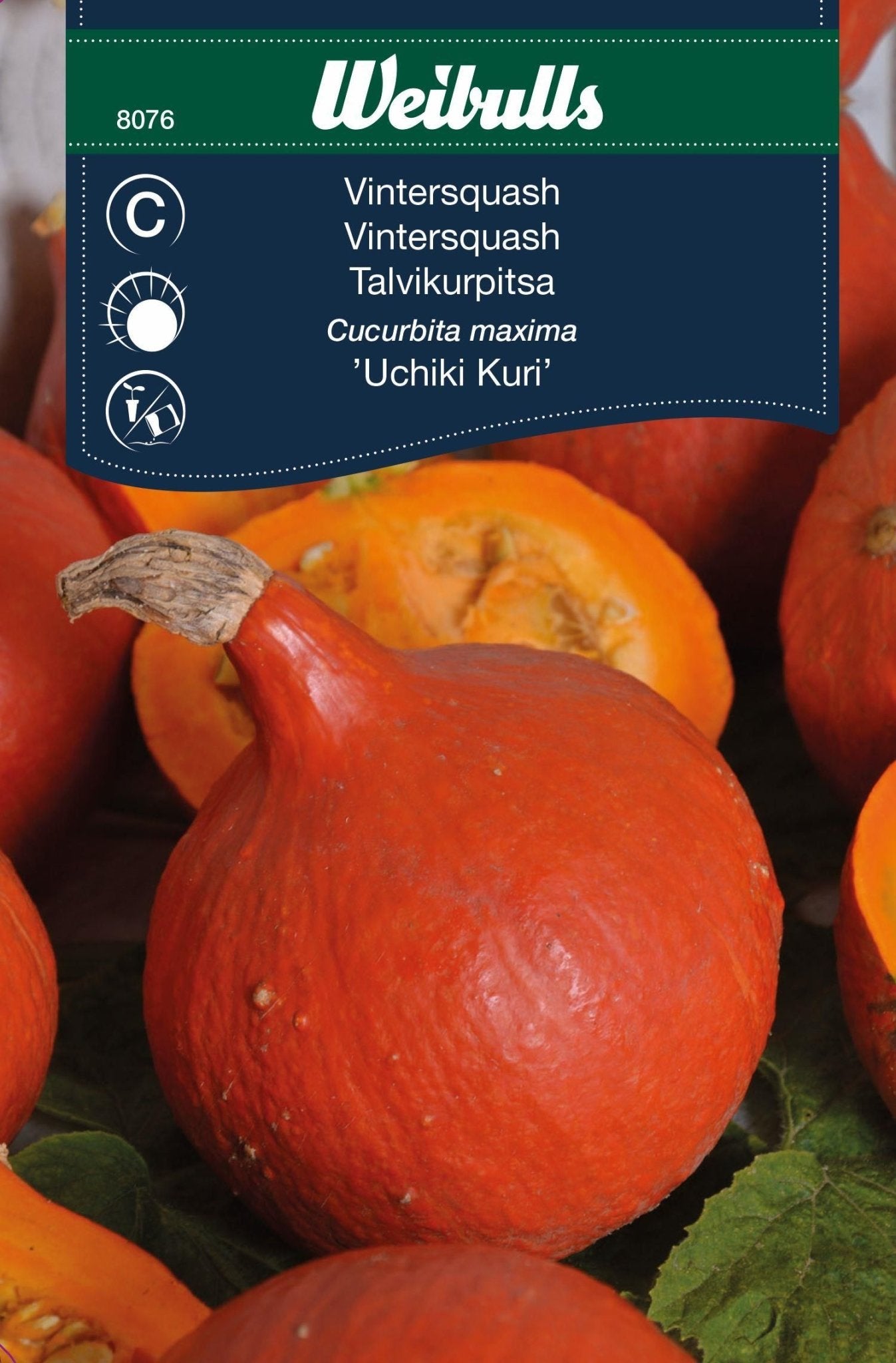 Pumpa,
