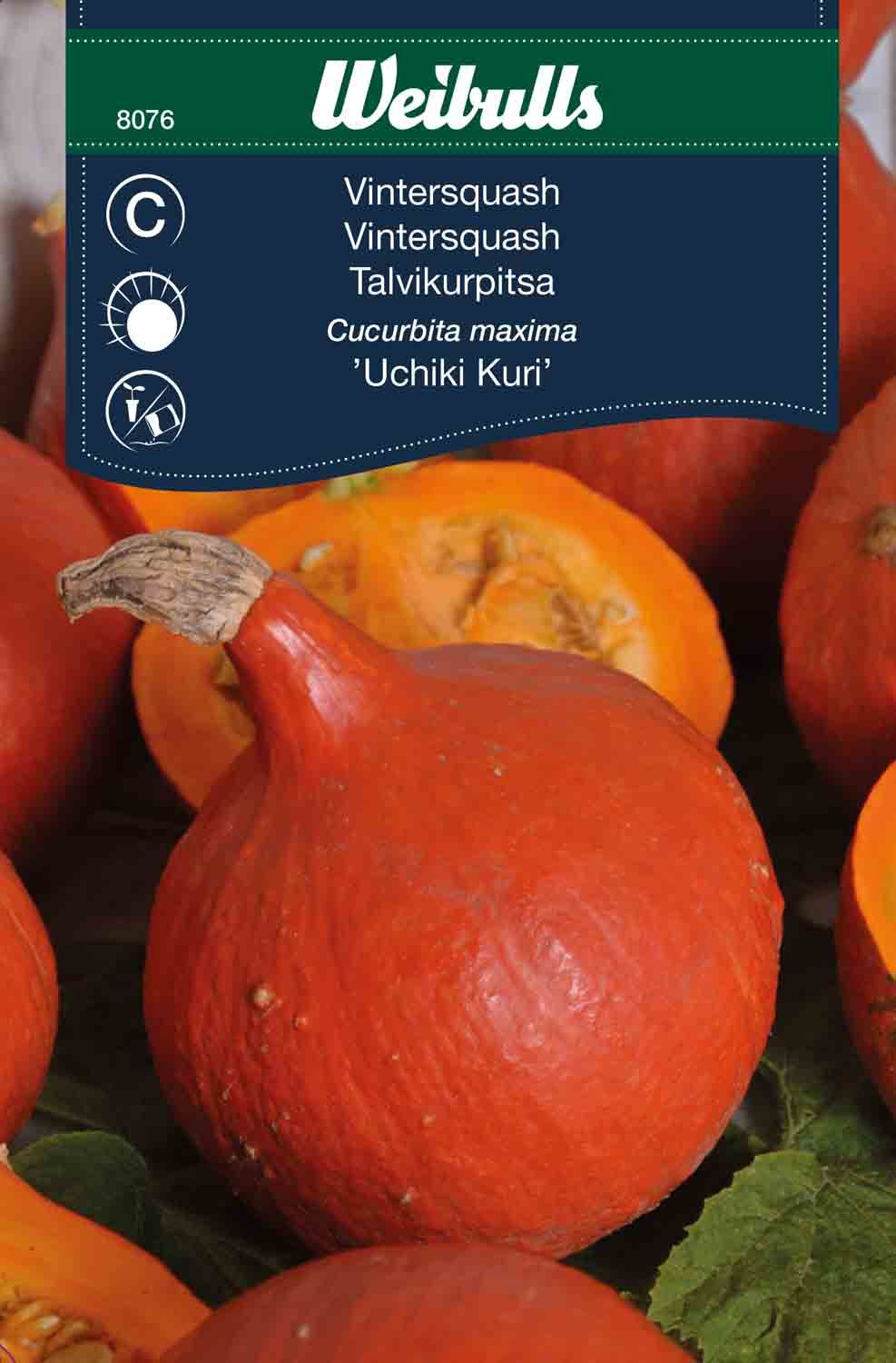 Pumpa,