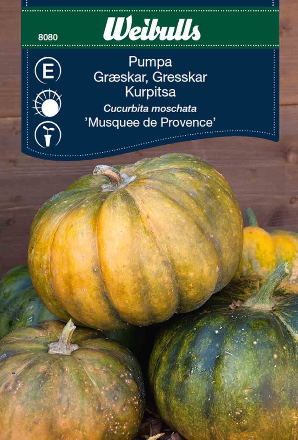 Pumpa, Musquee deProvence