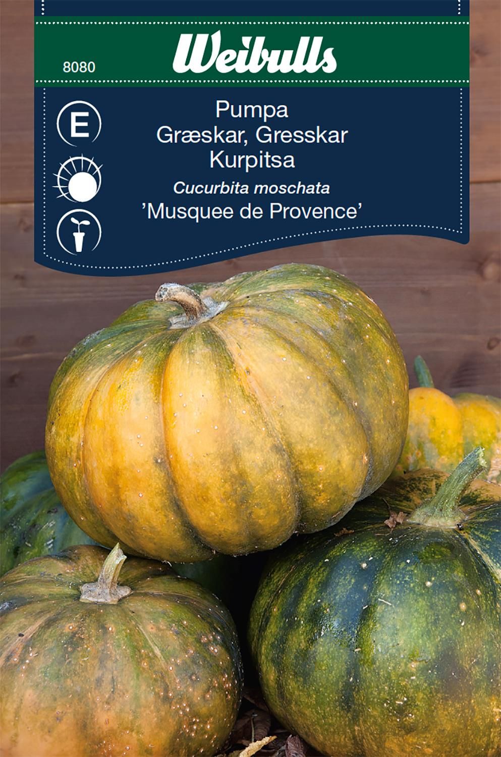Pumpa, Musquee deProvence