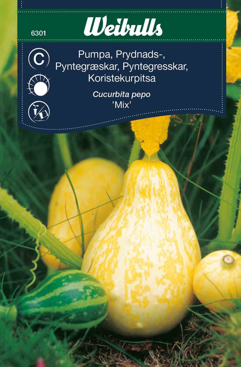 Pumpa, prydnads,