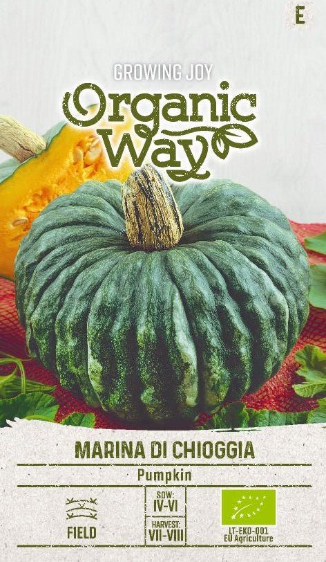 Pumpkin