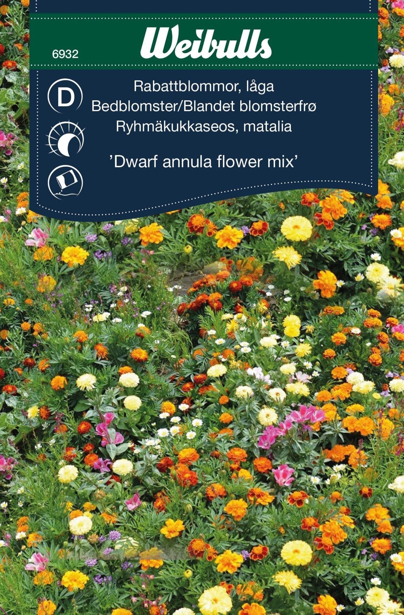 Rabattblommor