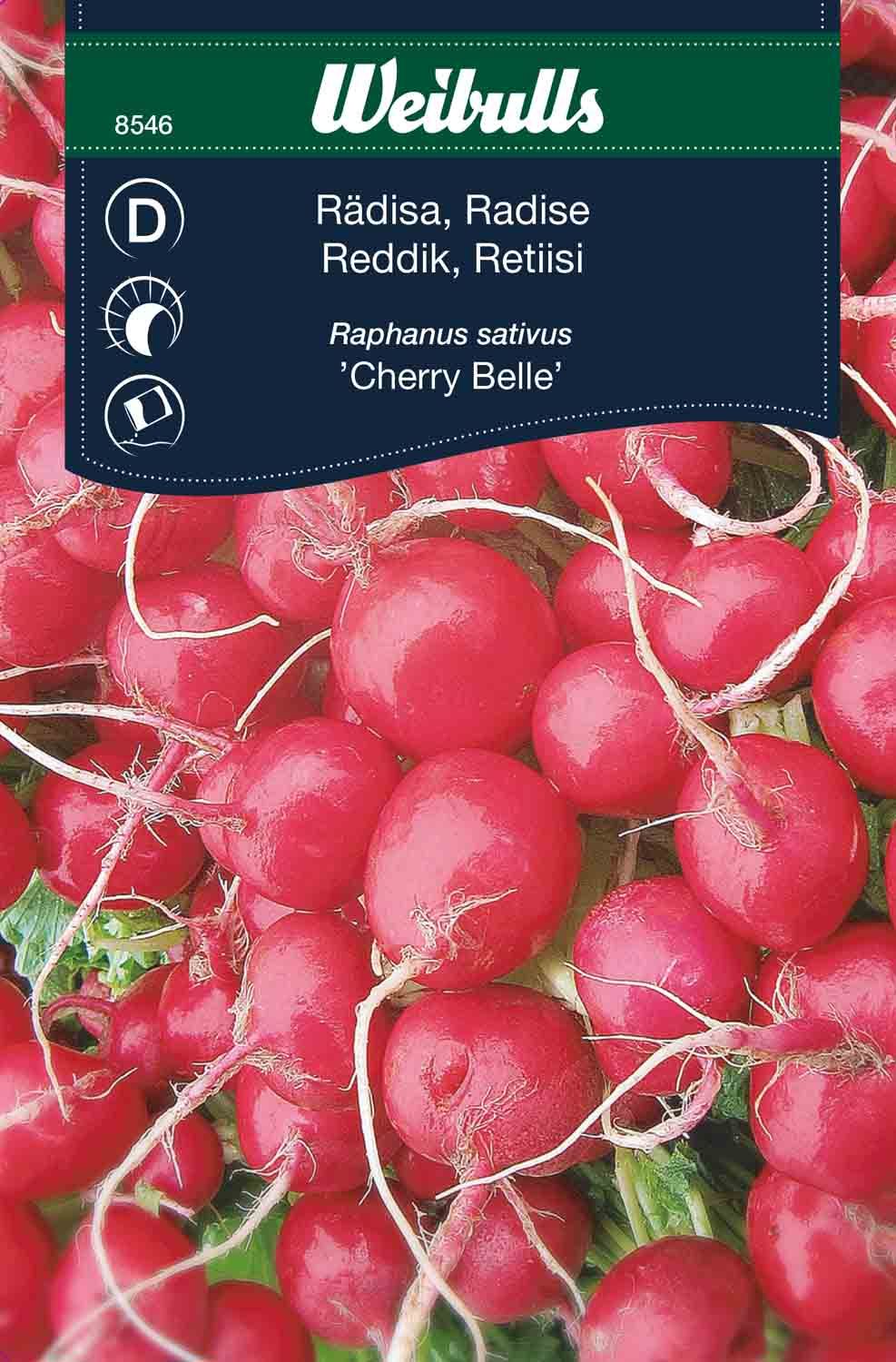 Rädisa