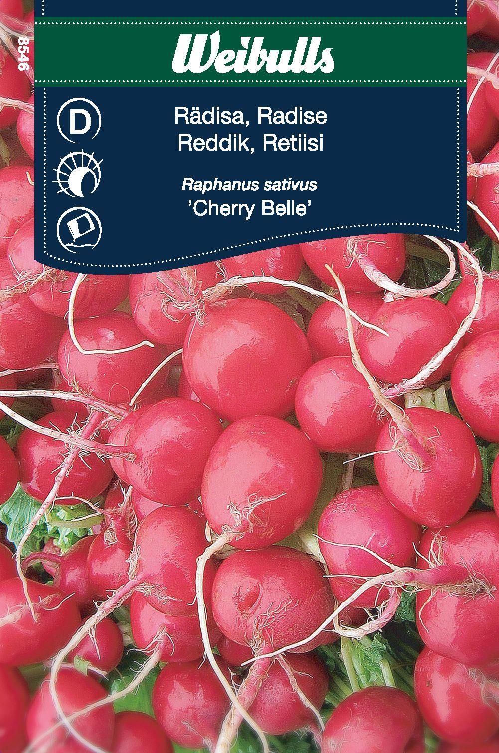 Rädisa