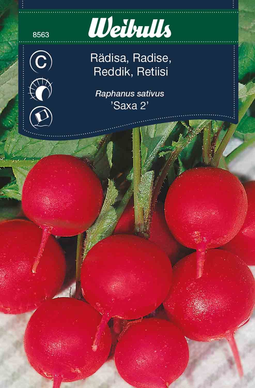 Rädisa