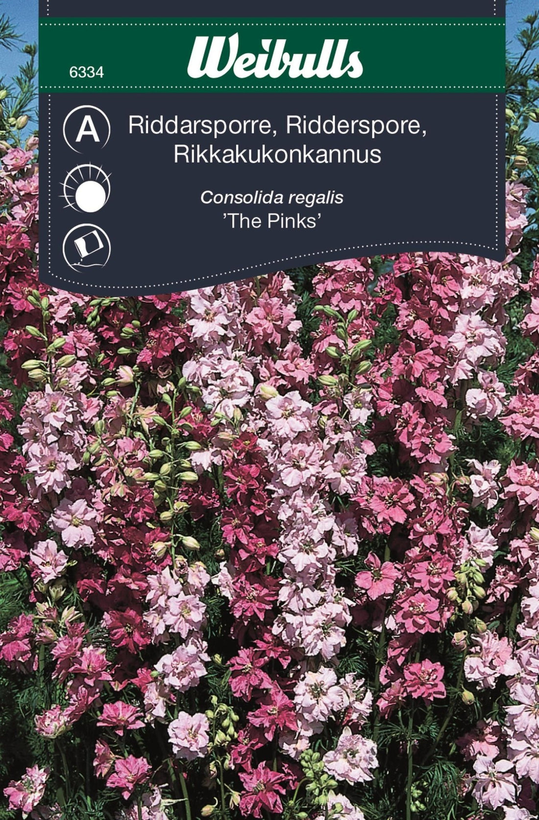 Riddarsporre