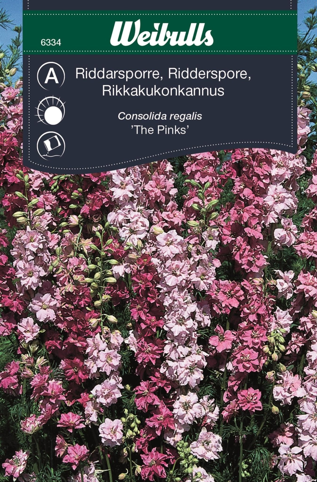 Riddarsporre