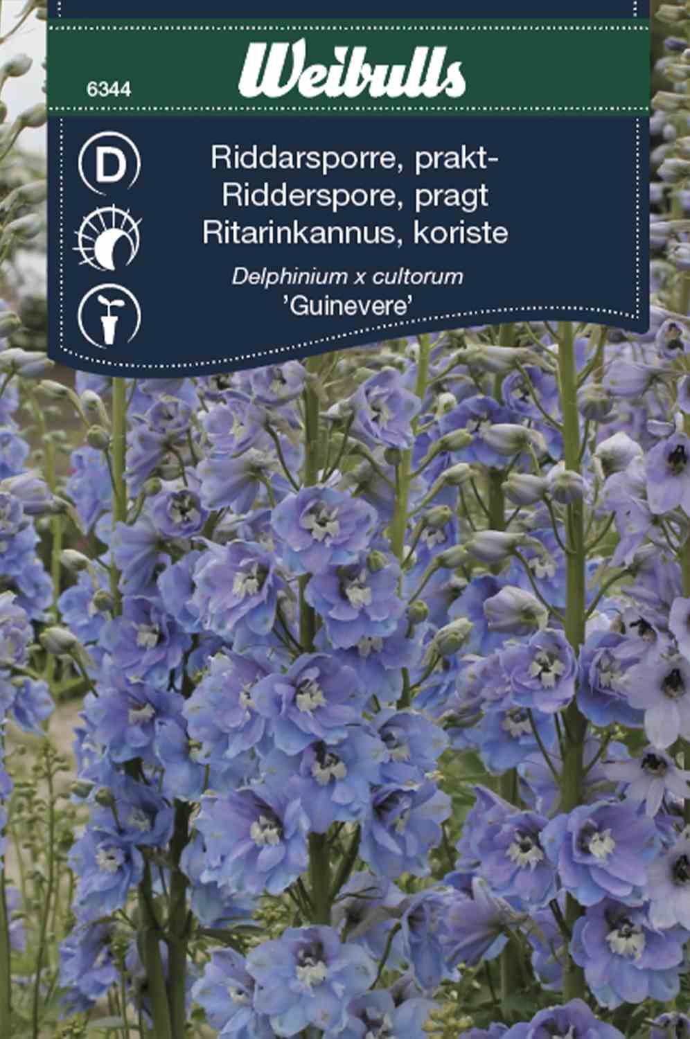 Riddarsporre,