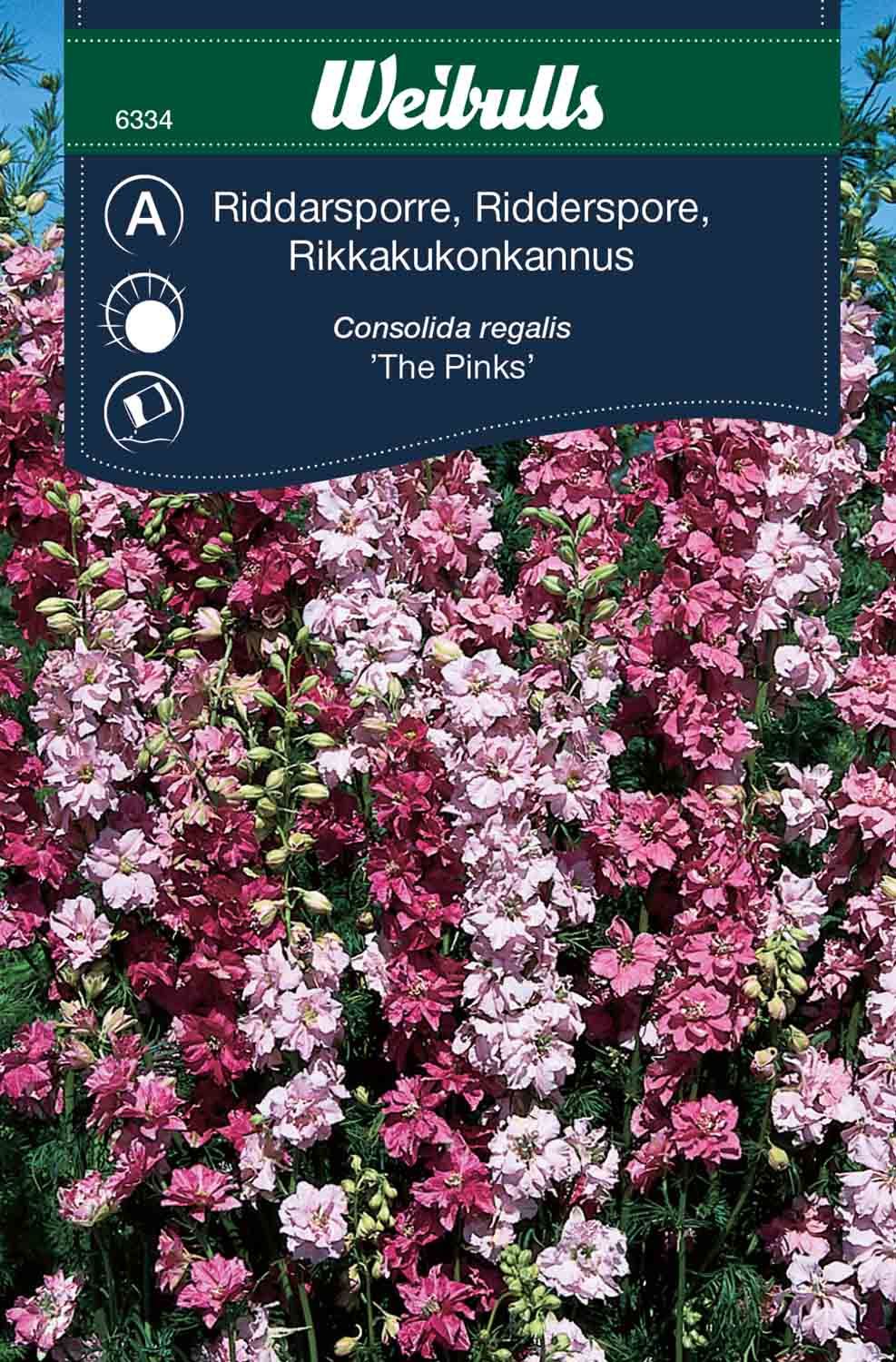 Riddarsporre