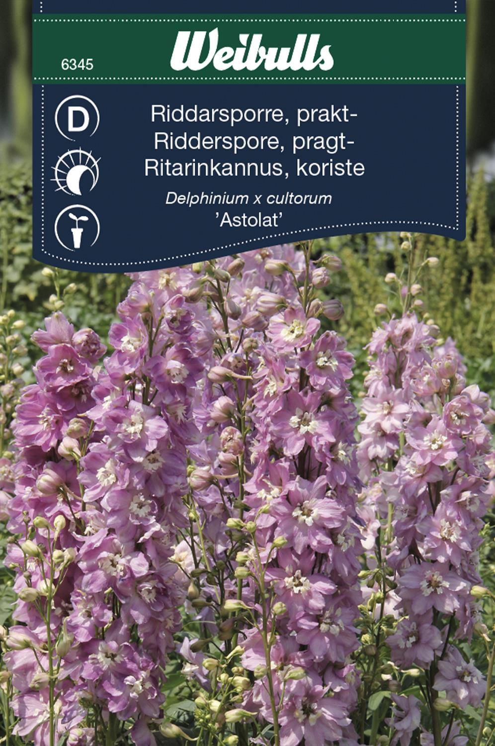 Riddarsporre,