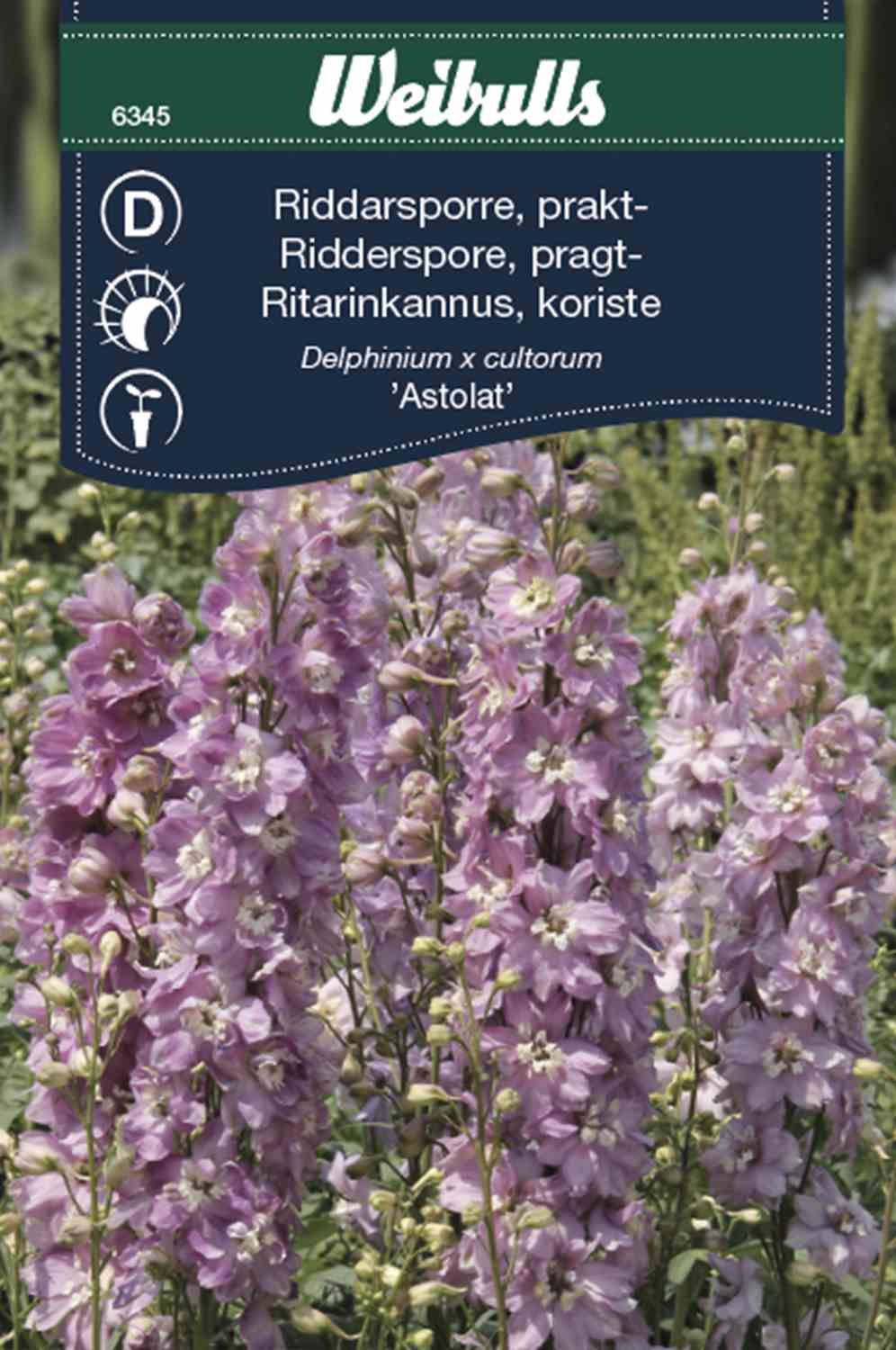 Riddarsporre,