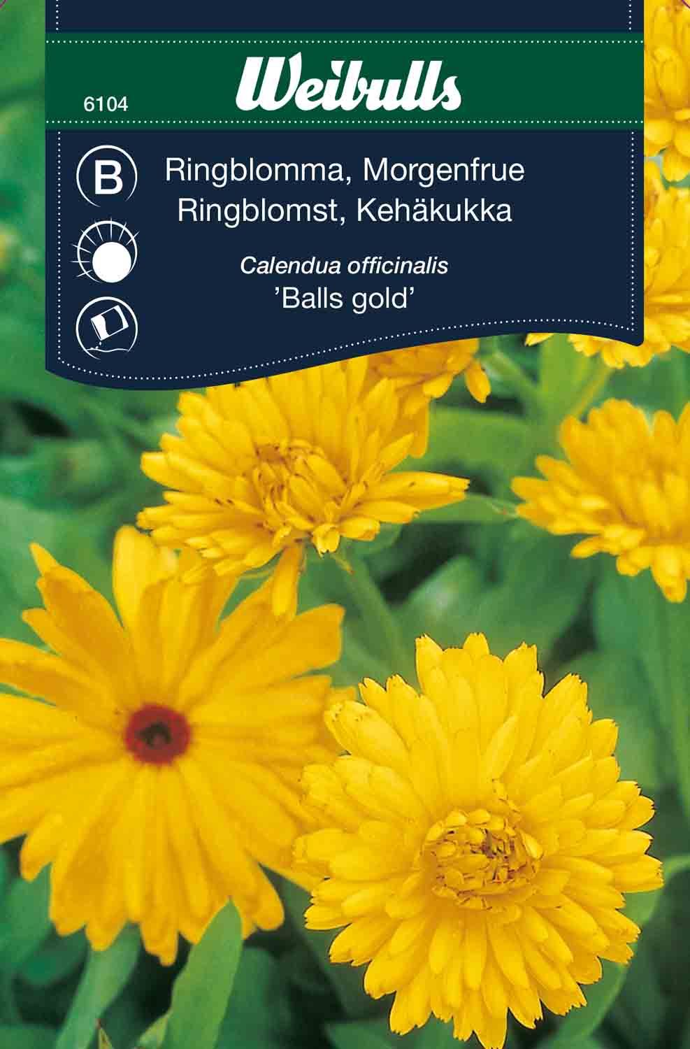 Ringblomma