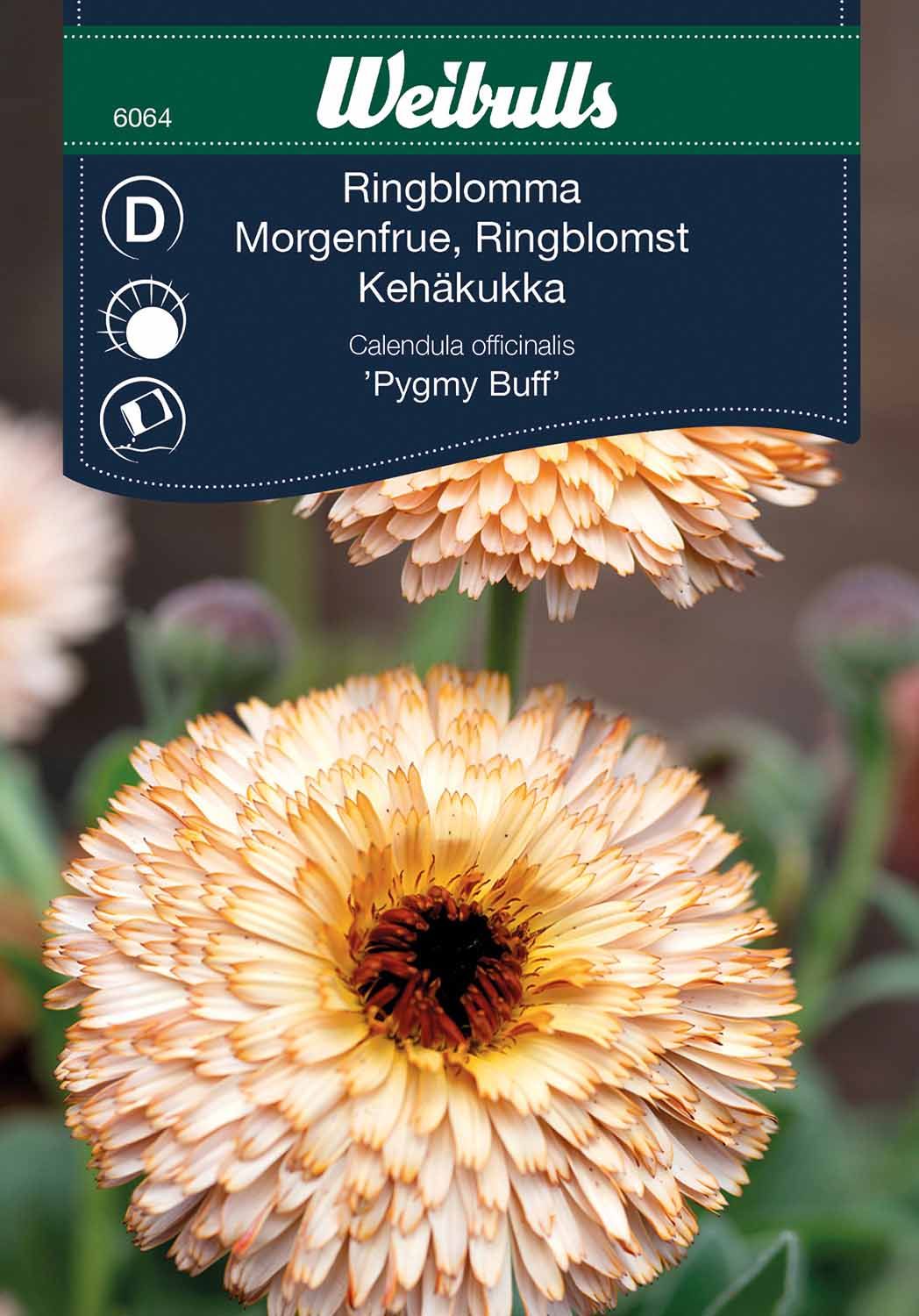 Ringblomma