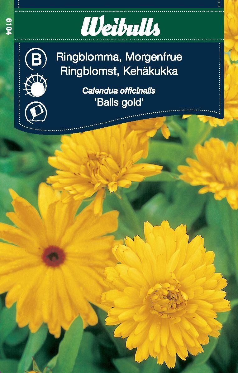 Ringblomma