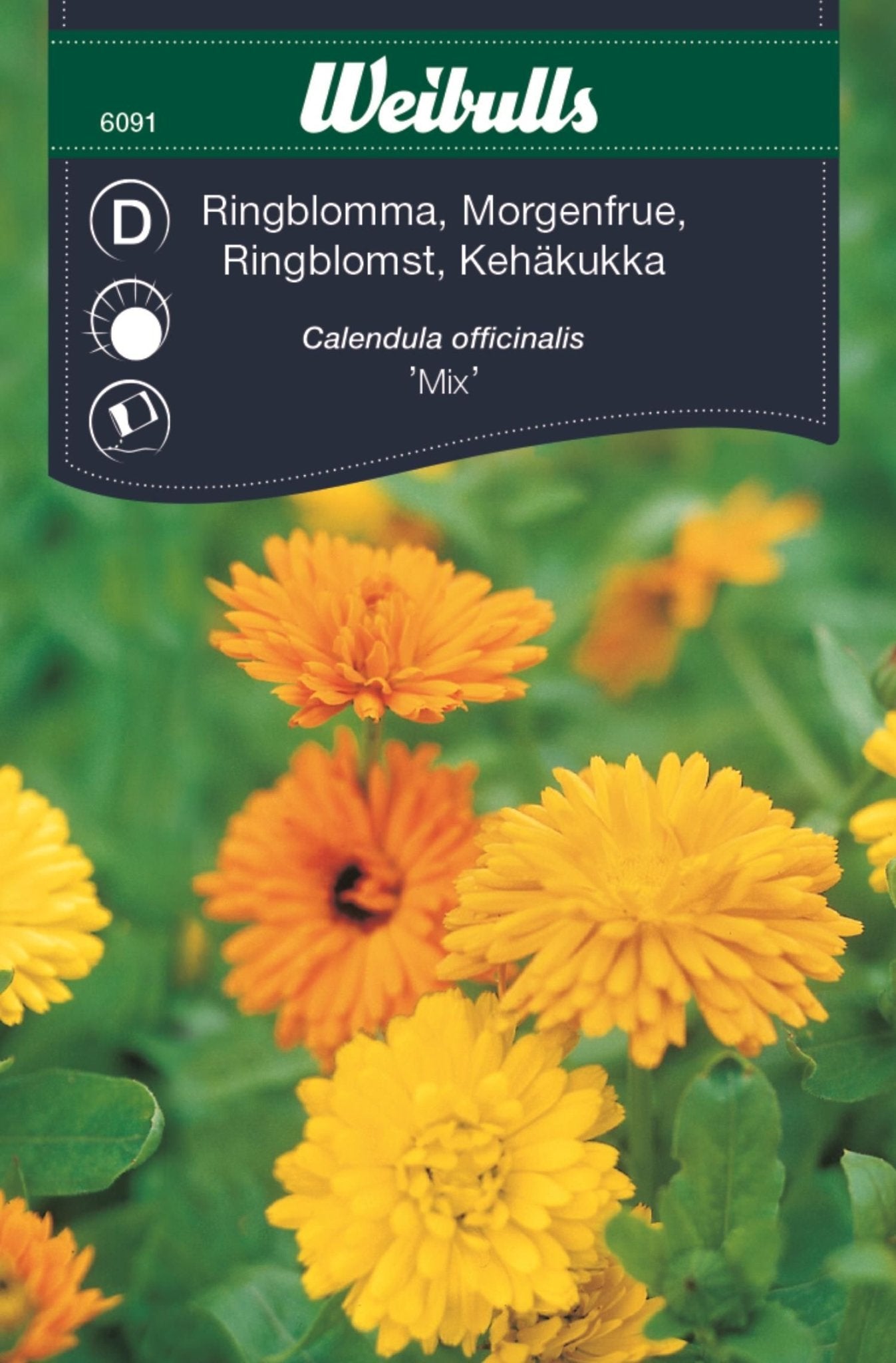 Ringblomma bland