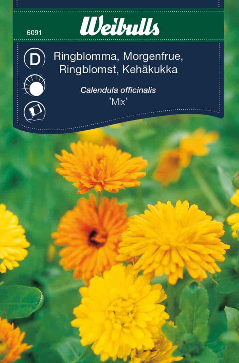 Ringblomma bland