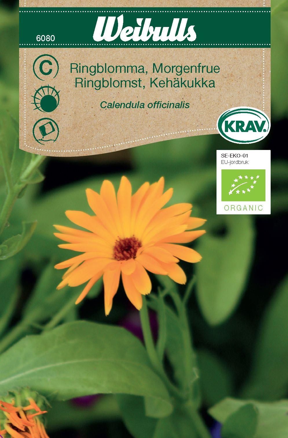 Ringblomma KRAV