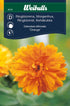 Ringblomma orange