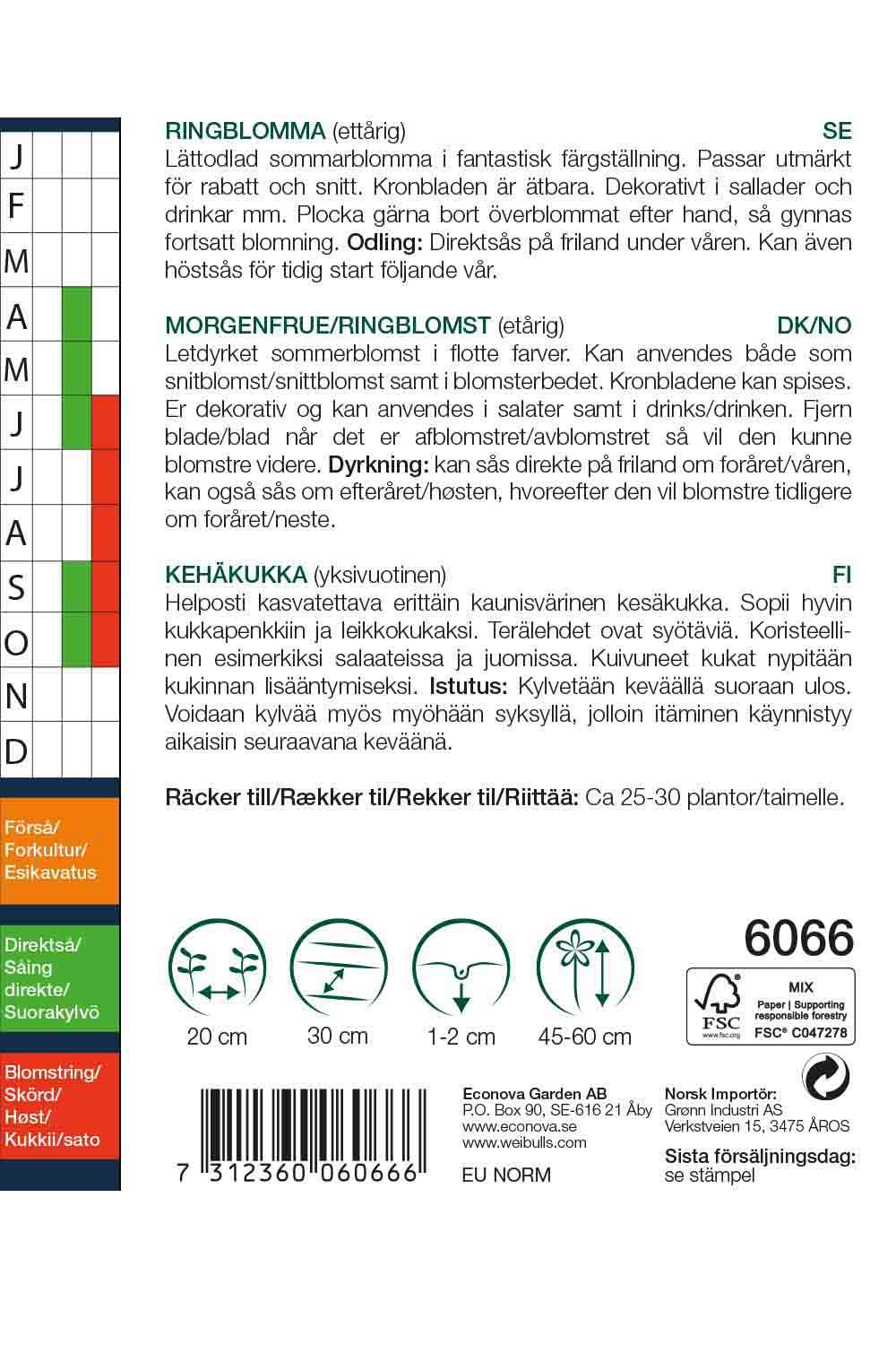 Ringblomma Touch of red
