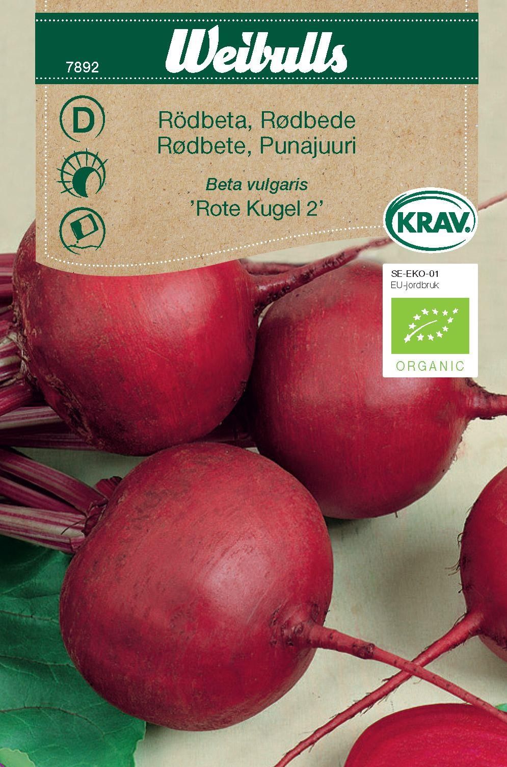 Rödbeta KRAV
