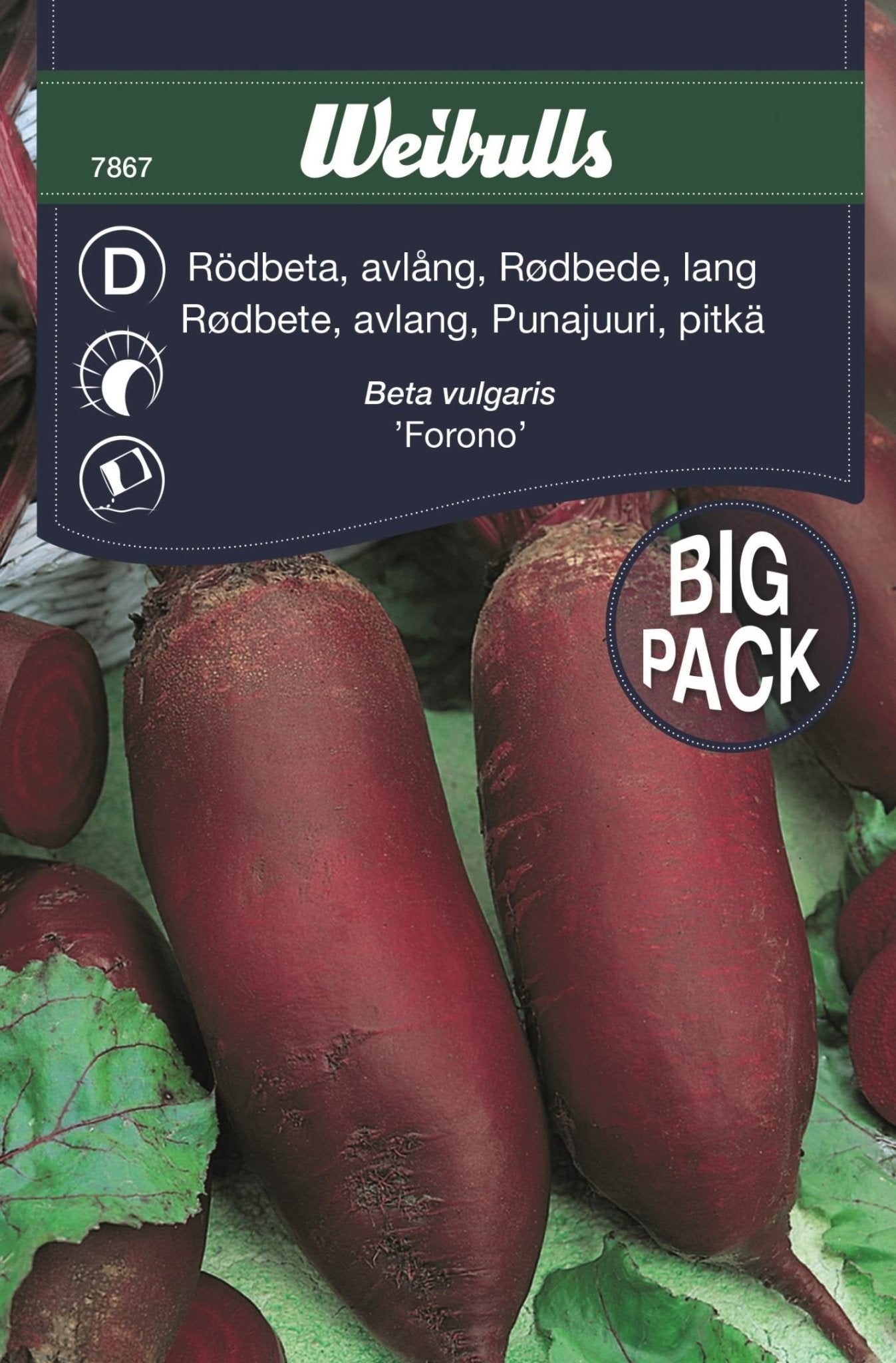 Rödbeta storport