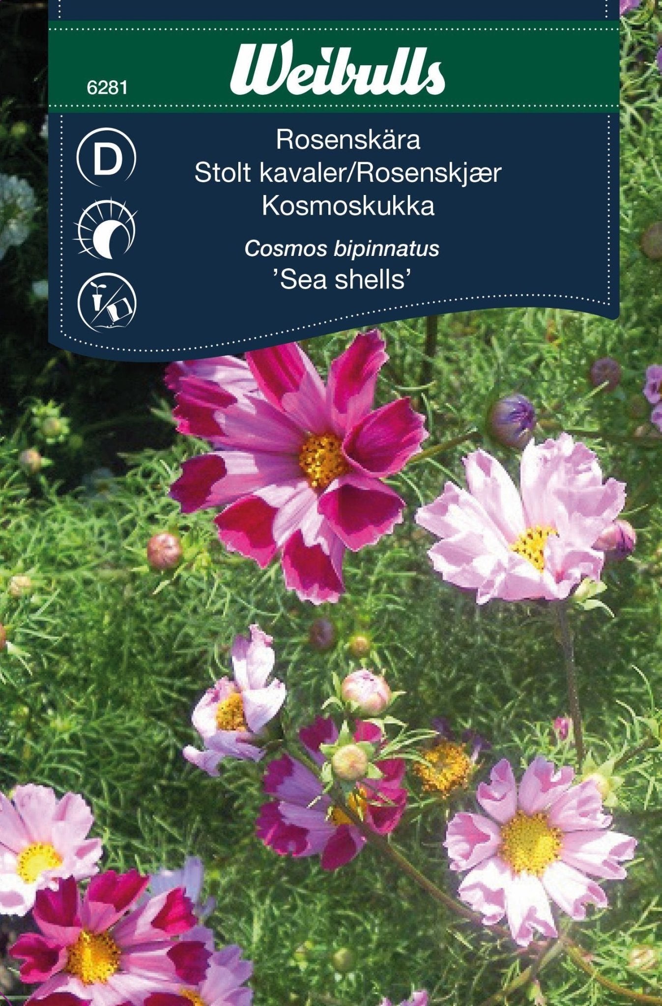 Rosenskära