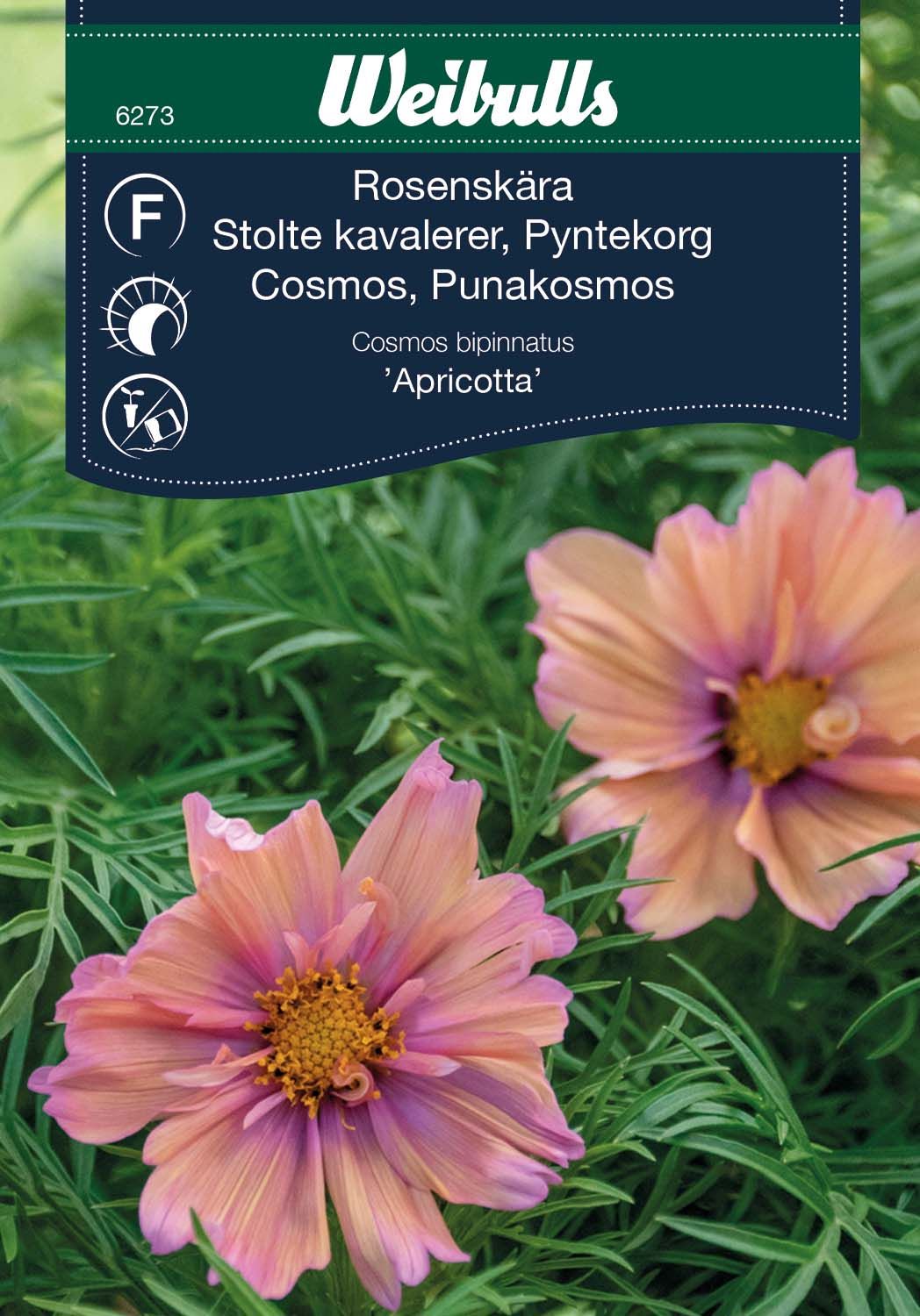 Rosenskära